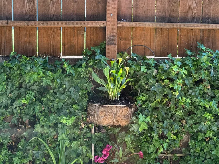 947 Country Ln — Photo 16