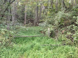 0 Road 29, Big Sandy Road Left Hand, WV 25251