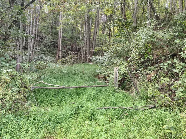 0 Road 29, Big Sandy Road Left Hand, WV 25251