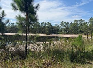 TBD MALAUKA PASS TRAIL LOT 8, OCKLAWAHA, FL 32179