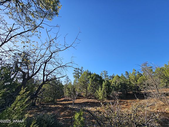 5th image of 801 W Sierra Pines Dr