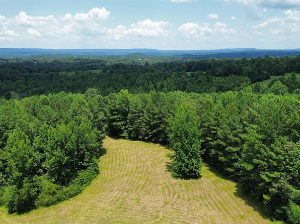 0 Hollow Creek Rd #13.45, Hayden, AL 35079