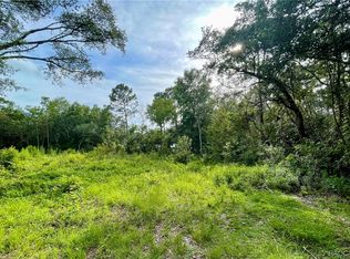 1426 W Mineral Ct, Hernando, FL 34442