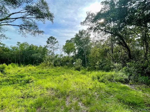 1426 W Mineral Ct, Hernando, FL 34442