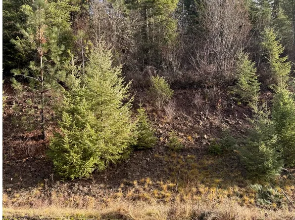 L15B1 Johnson Meadows Ests, Harrison, ID 83833