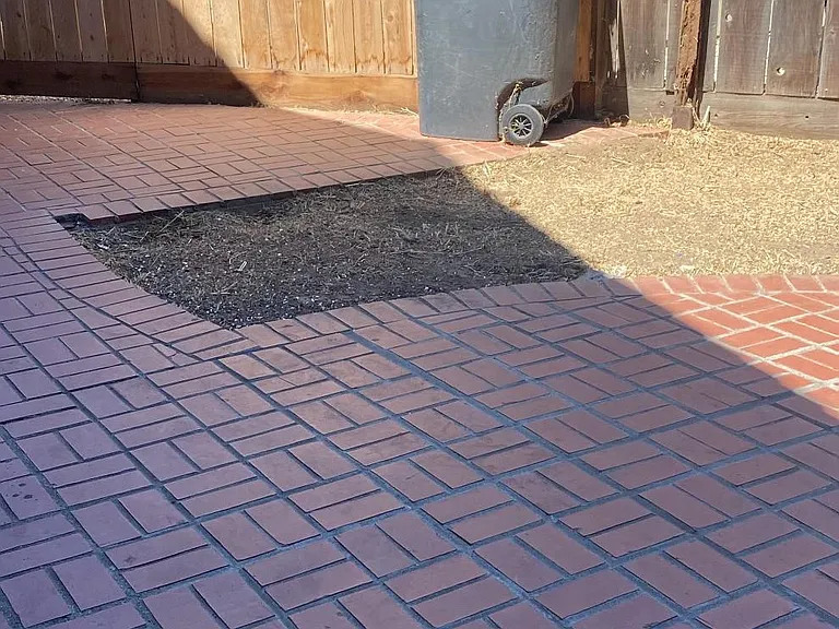 126 Adobe Ct — Photo 17