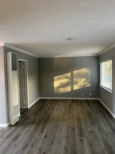 491 Courtland Dr #5 Photo 1 491 Courtland Dr #5 Photo 1