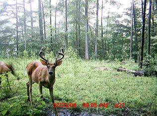 4995 Upper Patton Park Rd, Martinsville, IN 46151