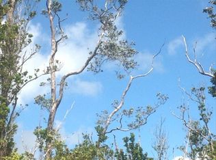LOT 60 Kaleponi Dr, Volcano, HI 96785