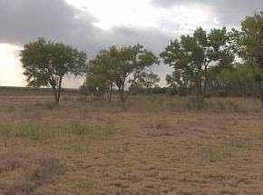 2nd image of 0 County Road B010