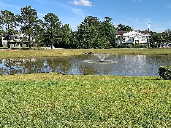 Backyard view