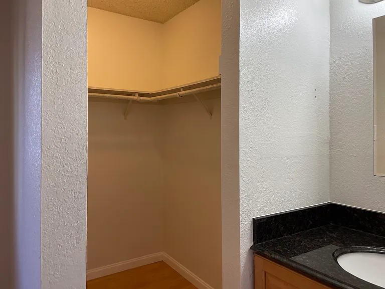 Master Bedroom Walk-in Closet