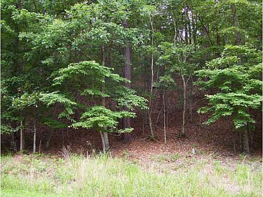 1st image of 143 Lone Bear Dr