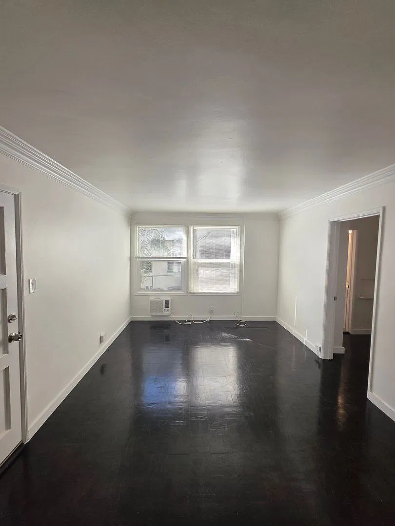 1645VIS — Photo 3