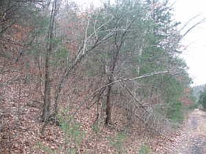 5th image of County Road 250