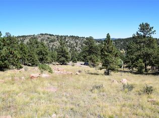 34402 Natural Spring Rd, Pine, CO 80470
