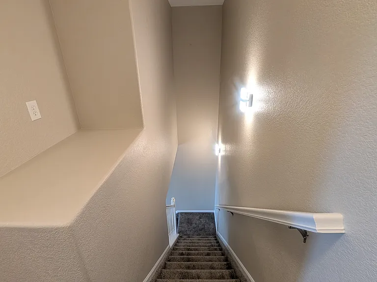 452 Black Feather Loop — Photo 12