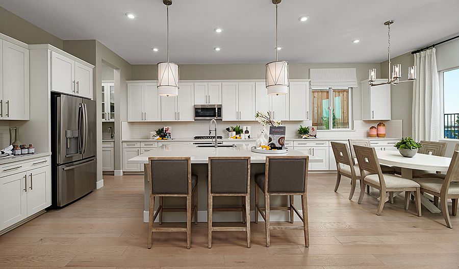 Dominic Plan, Stone Bluff at White Rock Springs Ranch, Folsom, CA 95630