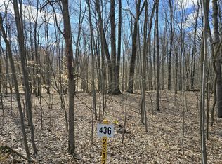 10179 Eagle Pass, Stanwood, MI 49346