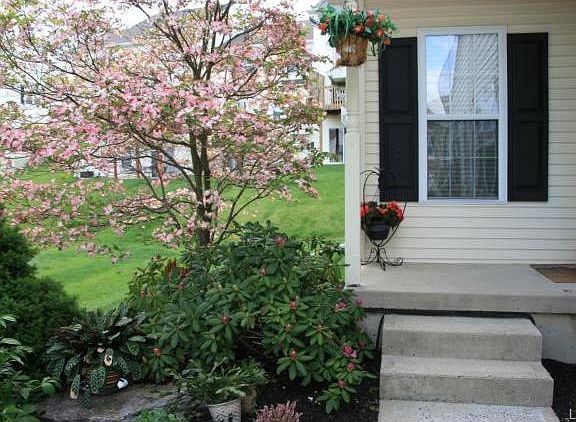 4th image of 118 Willow Dr