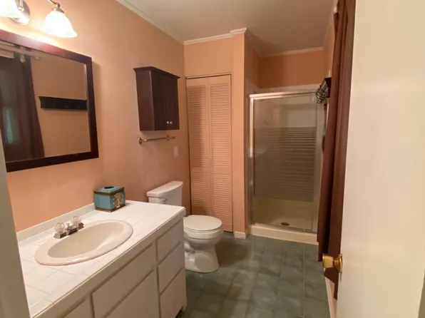 11569 Marsh Rd, Shelbyville, MI 49344