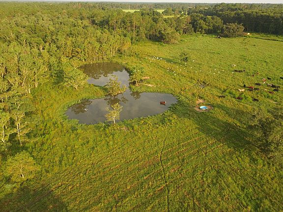 4th image of 9897 County Road 95 Lot Pw01