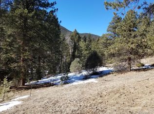 13450 S Foxton Rd, Conifer, CO 80433