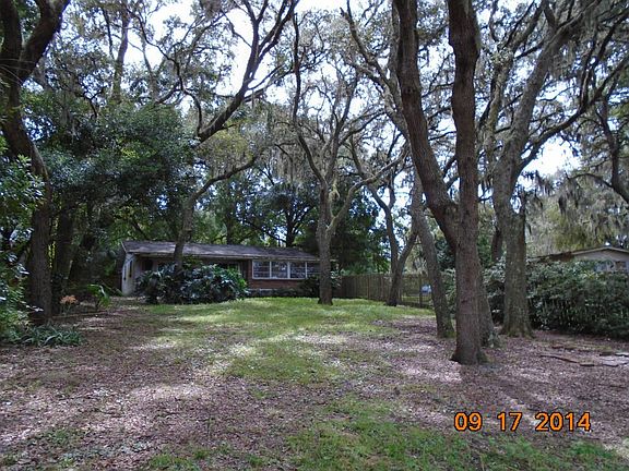backyard2