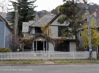 229 W Hallam St, Aspen, CO 81611