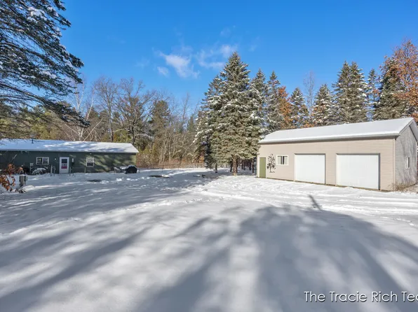 11582 Riehl Way, Greenville, MI 48838