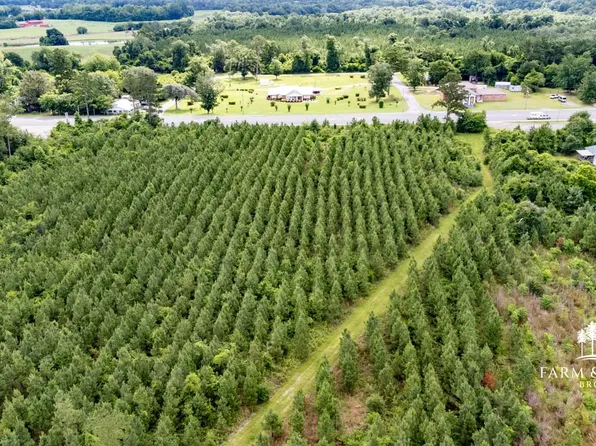 Xx1 Main St, Cottondale, FL 32431