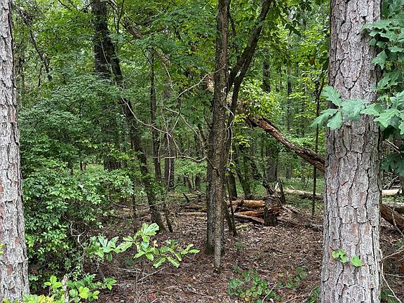 2nd image of LOT 79 Island Creek Dr