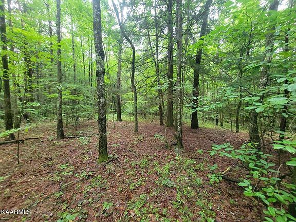 4th image of 0 Long Branch Dr