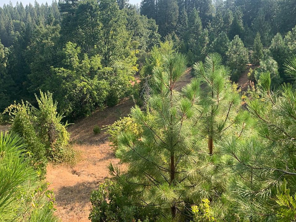 2nd image of 447 Rome Ct Lot 55