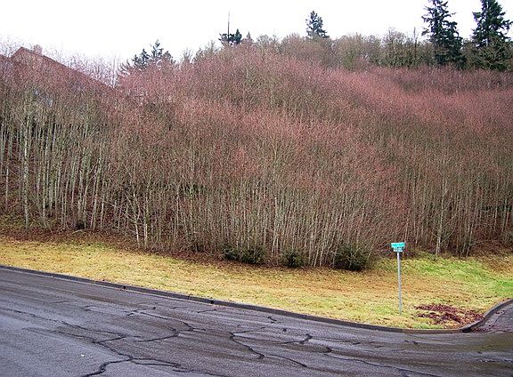 4th image of 4606 SE Deer Creek Pl