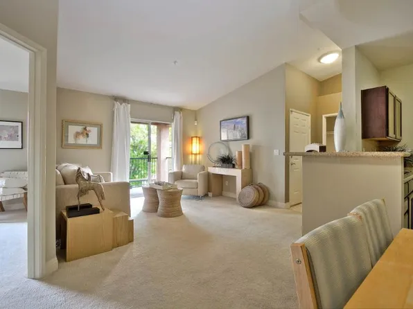 Los Cabos Apartments