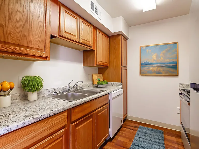 Refreshed Kitchens at Chateau D' Orleans