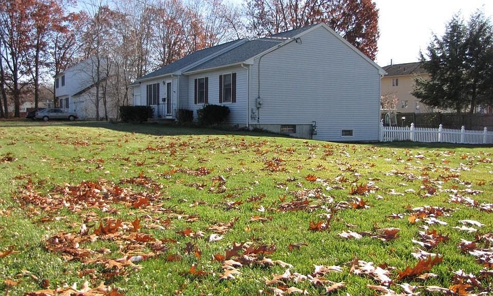 2nd image of 44 Napoleon Ave