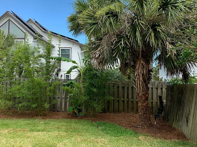 846 Mary St #B — Photo 10