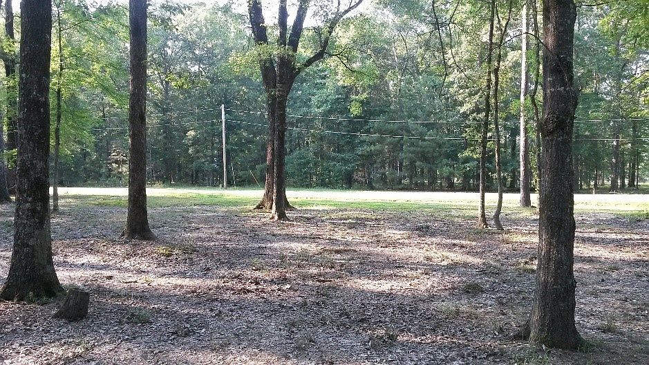 2nd image of 300 Jerry Garlington Rd