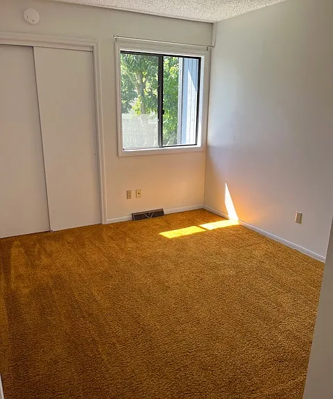 1509 Esther St — Photo 8