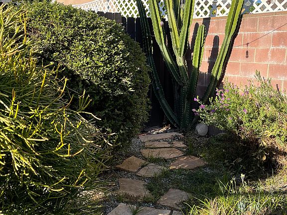 Cactus Garden