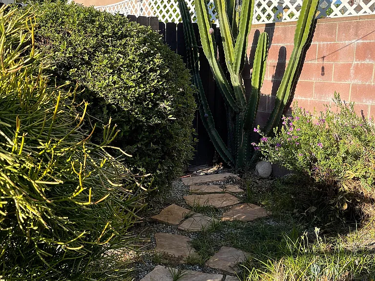 Cactus Garden