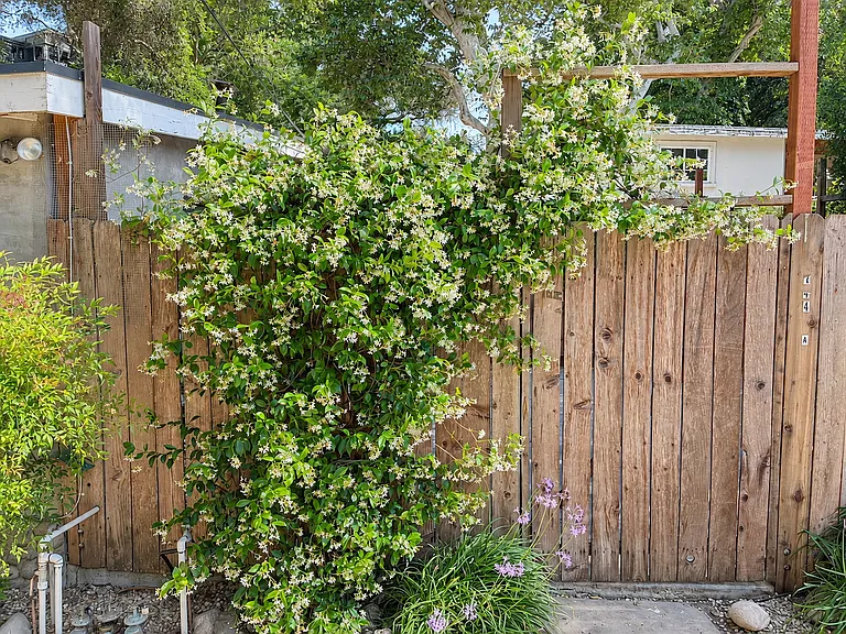 1446 Old Topanga Canyon Rd #A — Photo 3