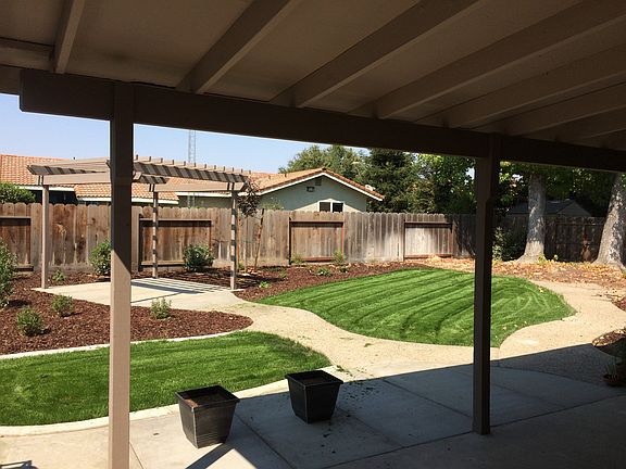Patio and Back yard