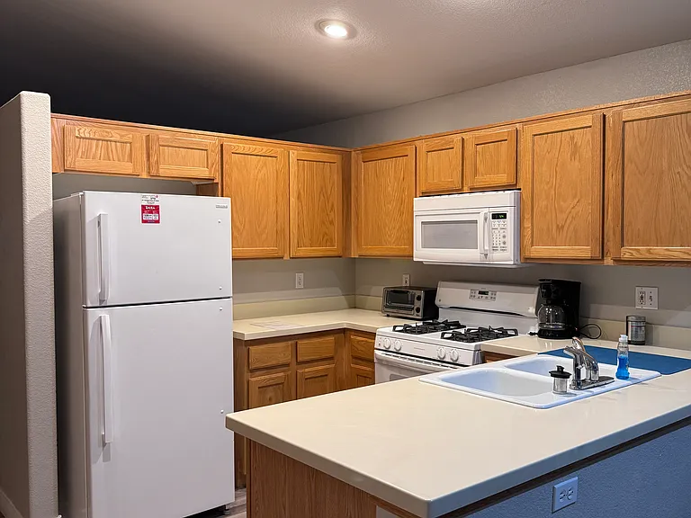 4640 Swaying Palms Dr — Photo 5