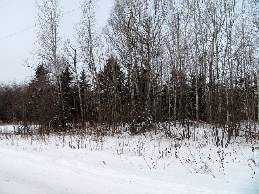 2nd image of 71 Nynas Rd