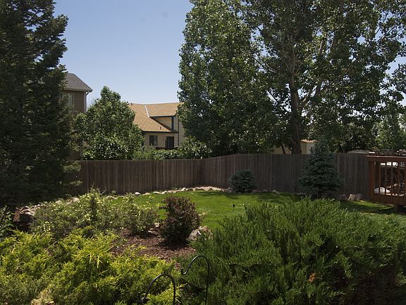 Backyard Oasis in full bloom