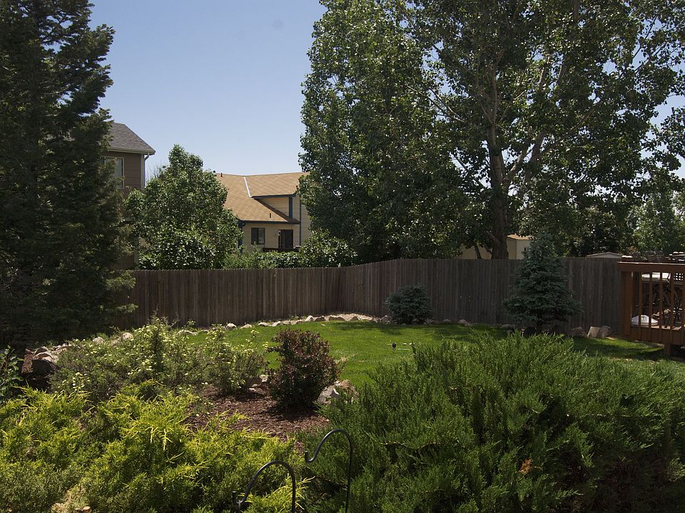 Backyard Oasis in full bloom