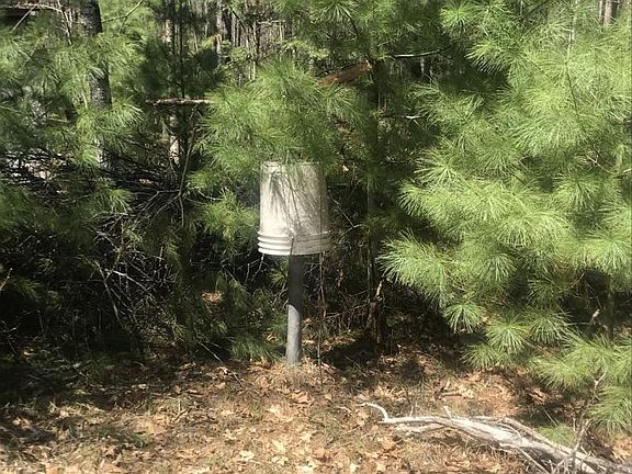 3rd image of 146 Nash Dr